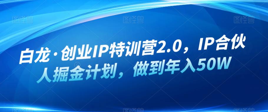 白龙·创业IP特训营2.0，IP合伙人掘金计划，做到年入50W-轻松搞定副业 - 高效赚钱方法和建议