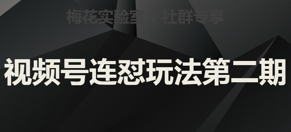 梅花实验室社群视频号连怼玩法第二期，实操讲解全部过程-轻松搞定副业 - 高效赚钱方法和建议