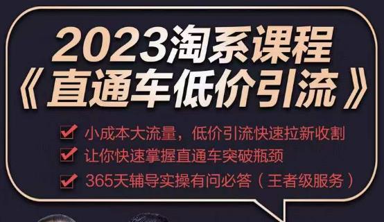 2023直通车低价引流玩法课程，小成本大流量，低价引流快速拉新收割，让你快速掌握直通车突破瓶颈-轻松搞定副业 - 高效赚钱方法和建议