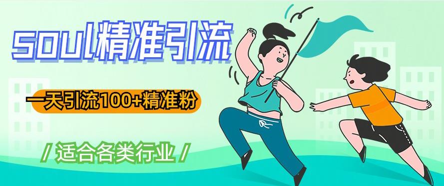 soul精准引流系列课程，一天引流100+精准粉，适合各类行业-轻松搞定副业 - 高效赚钱方法和建议