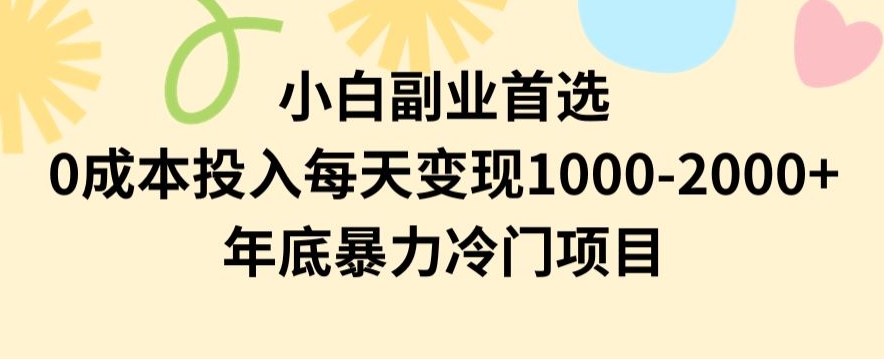 小白副业首选，0成本投入，每天变现1000-2000年底暴力冷门项目【揭秘】-轻松搞定副业 - 高效赚钱方法和建议