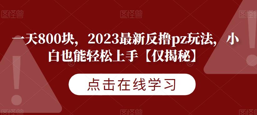 一天800块，2023最新反撸pz玩法，小白也能轻松上手【仅揭秘】-轻松搞定副业 - 高效赚钱方法和建议
