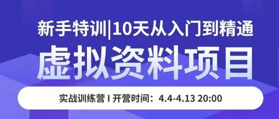 虚拟资料项目新手特训，10天从入门到精通，保姆级实操教学-轻松搞定副业 - 高效赚钱方法和建议