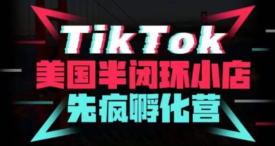 疯人院·TikTok美国半闭环小店孵化营，抢占TikTok美国蓝海市场，开店、运营、带货、投流全实操-轻松搞定副业 - 高效赚钱方法和建议