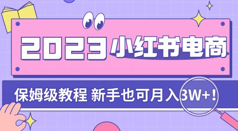 阿本小红书电商陪跑营4.0，带大家从0到1把小红书做起来-轻松搞定副业 - 高效赚钱方法和建议