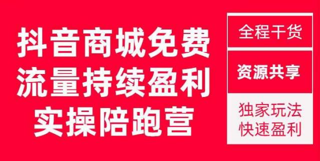 抖音商城搜索持续盈利陪跑成长营，抖音商城搜索从0-1、从1到10的全面解决方案-轻松搞定副业 - 高效赚钱方法和建议