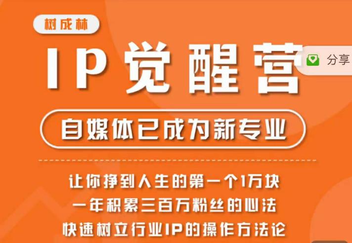 树成林·IP觉醒营，快速树立行业IP的操作方法论，让你赚到人生的第一个1万块-轻松搞定副业 - 高效赚钱方法和建议