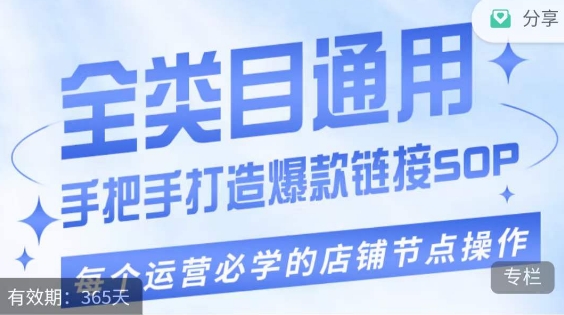 单品爆款打造实操运营，单品爆款从“0”-“1”手把手演练运营步骤-轻松搞定副业 - 高效赚钱方法和建议