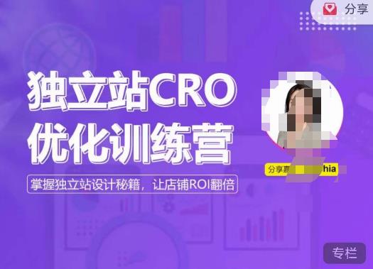 独立站CRO优化训练营，掌握独立站设计秘籍，打造高转化的独立站，让店铺ROI翻倍-轻松搞定副业 - 高效赚钱方法和建议