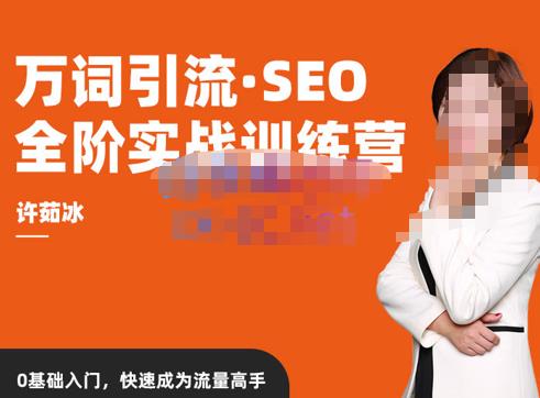 许茹冰·万词引流-SEO全阶实战训练营，0基础入门，快速成为流量高手-轻松搞定副业 - 高效赚钱方法和建议