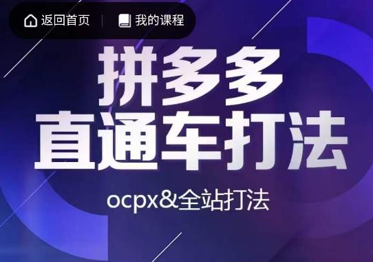 互力·拼多多直通车打法，ocpx&全站打法-轻松搞定副业 - 高效赚钱方法和建议