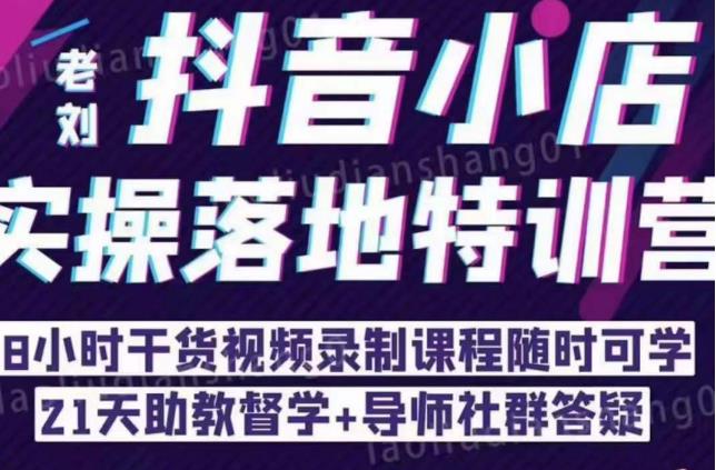 抖音小店实操落地特训营：抖音小店无货源精细化运营，抖店商品卡流量（22节）-轻松搞定副业 - 高效赚钱方法和建议