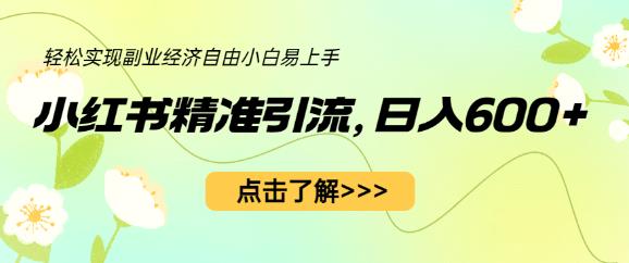 小红书精准引流，小白日入600+，轻松实现副业经济自由（教程+1153G资源）-轻松搞定副业 - 高效赚钱方法和建议