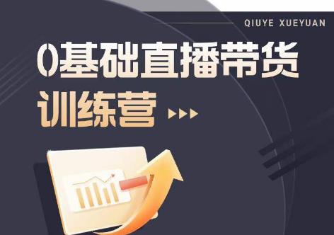 2023直播带货入门进阶运营实训课程，新手直播运营培训实操课-轻松搞定副业 - 高效赚钱方法和建议