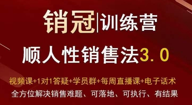 爆款！销冠训练营3.0之顺人性销售法，全方位解决销售难题、可落地、可执行、有结果-轻松搞定副业 - 高效赚钱方法和建议