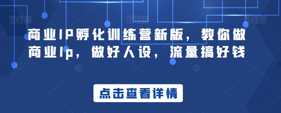 商业IP孵化训练营新版，教你做商业Ip，做好人设，流量搞好钱-轻松搞定副业 - 高效赚钱方法和建议