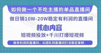 某电商线下课程，稳定可复制的单品矩阵日不落，做一个不吃主播的单品直播间-轻松搞定副业 - 高效赚钱方法和建议