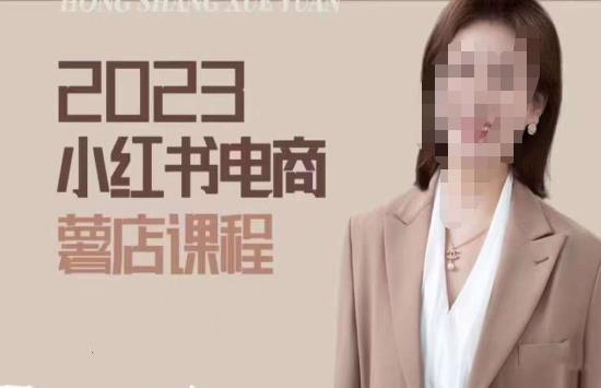 2023小红书电商课，新手小白从0~1玩转小红书薯店电商-轻松搞定副业 - 高效赚钱方法和建议