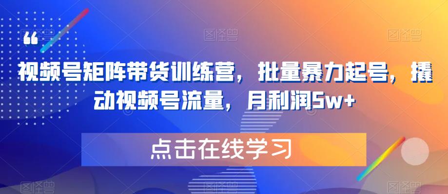 视频号矩阵带货训练营，批量暴力起号，撬动视频号流量，月利润5w+-轻松搞定副业 - 高效赚钱方法和建议