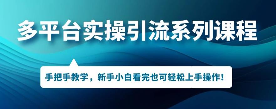 多平台引流实操系列课程，新手小白看完也可轻松上手进行引流操作-轻松搞定副业 - 高效赚钱方法和建议