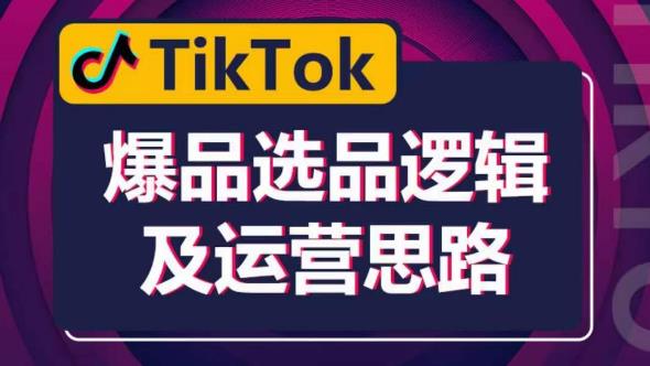 TikTok爆品选品逻辑及运营思路：解决网络环境快速入门TikTok-轻松搞定副业 - 高效赚钱方法和建议