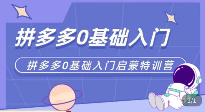 六一电商·拼多多运营0-1实操特训营，拼多多从基础到进阶的可实操玩法-轻松搞定副业 - 高效赚钱方法和建议