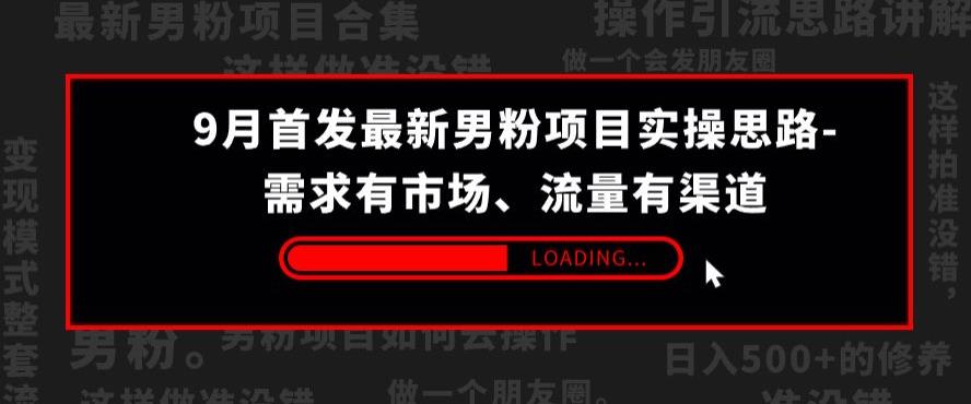 9月首发最新男粉项目实操思路-需求有市场，流量有渠道【揭秘】-轻松搞定副业 - 高效赚钱方法和建议