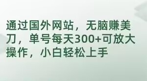 通过国外网站，无脑赚美刀，单号每天300+可放大操作，小白轻松上手【揭秘】-轻松搞定副业 - 高效赚钱方法和建议