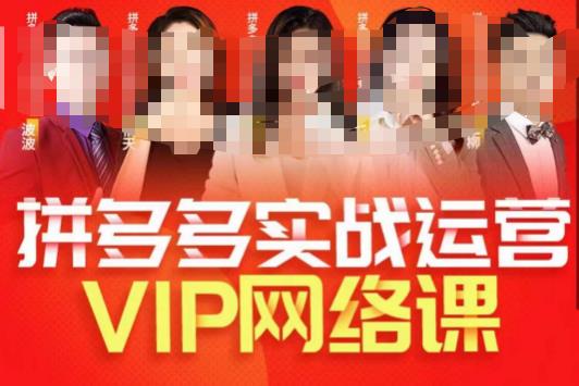 推易拼多多VIP全套直播课程，拼多多店铺实操玩法+实战玩法选款内功+直通车高阶等-轻松搞定副业 - 高效赚钱方法和建议
