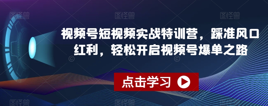 视频号短视频实战特训营，踩准风口红利，轻松开启视频号爆单之路-轻松搞定副业 - 高效赚钱方法和建议
