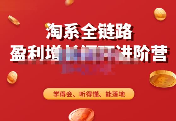 淘系全链路盈利增长闭环进阶营，融合全店动销，学得会、听得懂、能落地！-轻松搞定副业 - 高效赚钱方法和建议