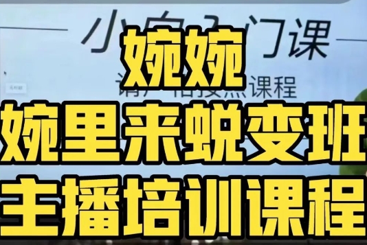 婉婉·婉里来蜕变班（主播课）全方位理解底层逻辑并灵活运用-轻松搞定副业 - 高效赚钱方法和建议