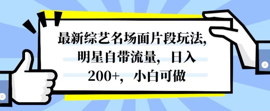 最新综艺名场面片段玩法，明星自带流量，日入200+，小白可做【揭秘】-轻松搞定副业 - 高效赚钱方法和建议