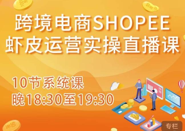 跨境电商Shopee虾皮运营实操直播课，从零开始学，入门到精通（10节系统课）-轻松搞定副业 - 高效赚钱方法和建议