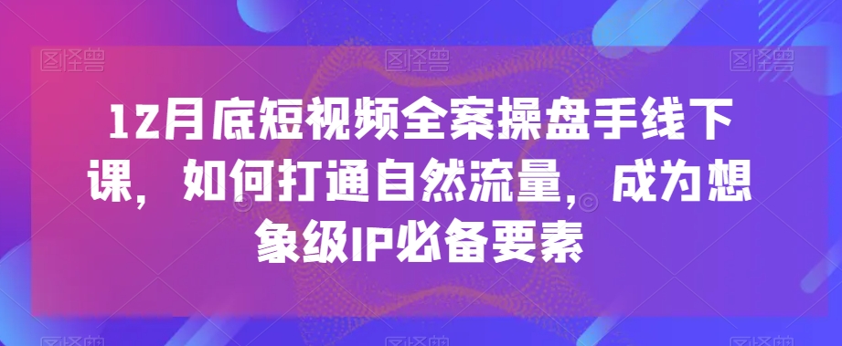 12月底短视频全案操盘手线下课，如何打通自然流量，成为想象级IP必备要素-轻松搞定副业 - 高效赚钱方法和建议