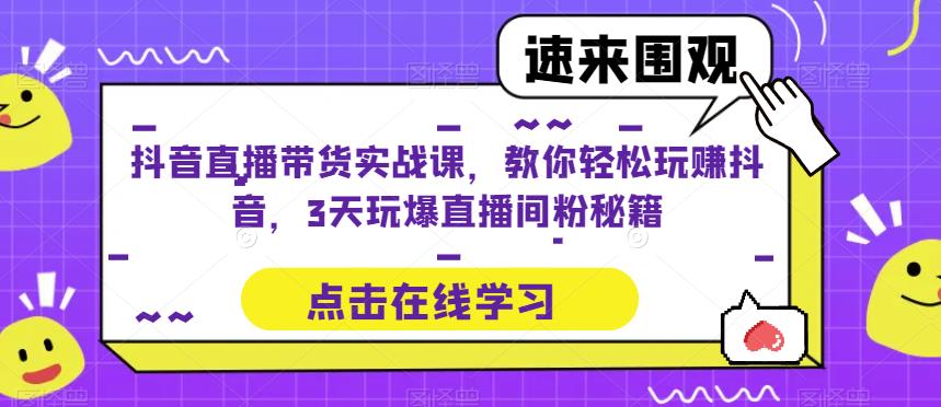 抖音直播带货实战课，教你轻松玩赚抖音，3天玩爆直播间-轻松搞定副业 - 高效赚钱方法和建议