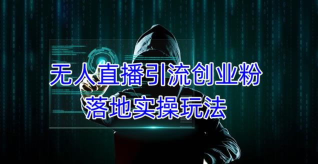 外面收费3980的无人直播引流创业粉落地实操玩法，单日引100+精准创业粉-轻松搞定副业 - 高效赚钱方法和建议