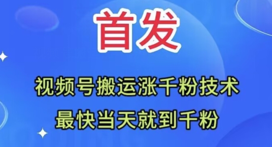 全网首发：视频号无脑搬运涨千粉技术，最快当天到千粉【揭秘】-轻松搞定副业 - 高效赚钱方法和建议