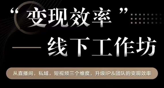 变现效率线下工作坊，从‮播直‬间、私域、‮视短‬频‮个三‬维度，升级IP和团队变现效率-轻松搞定副业 - 高效赚钱方法和建议