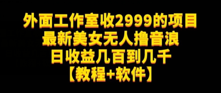 外面工作室收2999的项目最新美女无人撸音浪日收益几百到几千【教程+软件】（仅揭秘）-轻松搞定副业 - 高效赚钱方法和建议