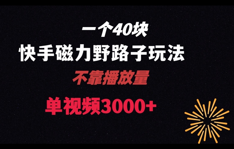 一个40块，快手联合美团磁力新玩法，无视机制野路子玩法，单视频收益4位数【揭秘】-轻松搞定副业 - 高效赚钱方法和建议