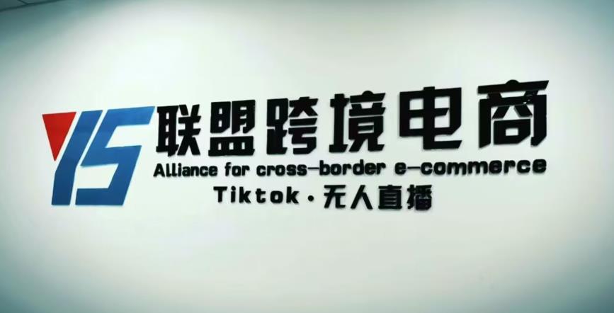 YS联盟·Tiktok无人直播，不出镜不剪辑不拍摄不发货无售后的跨境短视频躺赚玩法-轻松搞定副业 - 高效赚钱方法和建议