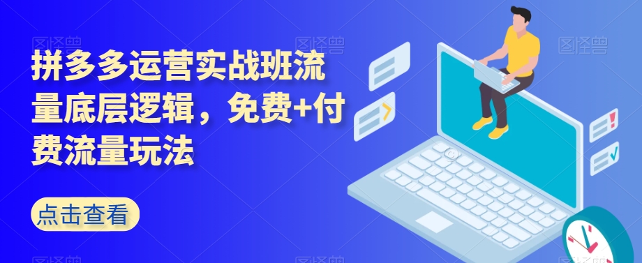 拼多多运营实战班流量底层逻辑，免费+付费流量玩法-轻松搞定副业 - 高效赚钱方法和建议