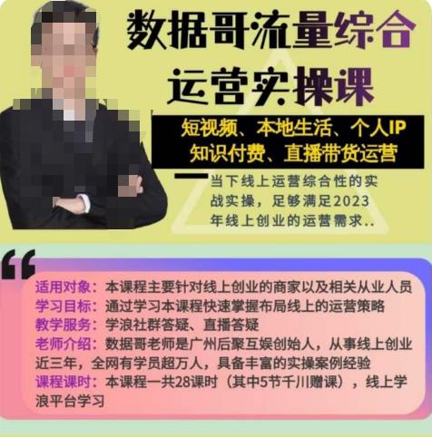 数据哥流量综合运营实操课：短视频、本地生活、个人IP知识付费、直播带货运营-轻松搞定副业 - 高效赚钱方法和建议