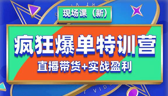 抖音短视频疯狂爆单特训营现场课（新）直播带货+实战案例-轻松搞定副业 - 高效赚钱方法和建议