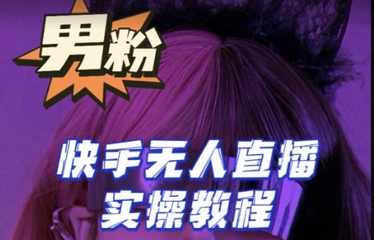 【男粉落地项目】零基础玩转男粉快手无人直播月入3w+，2023快手无人直播实操教程-轻松搞定副业 - 高效赚钱方法和建议
