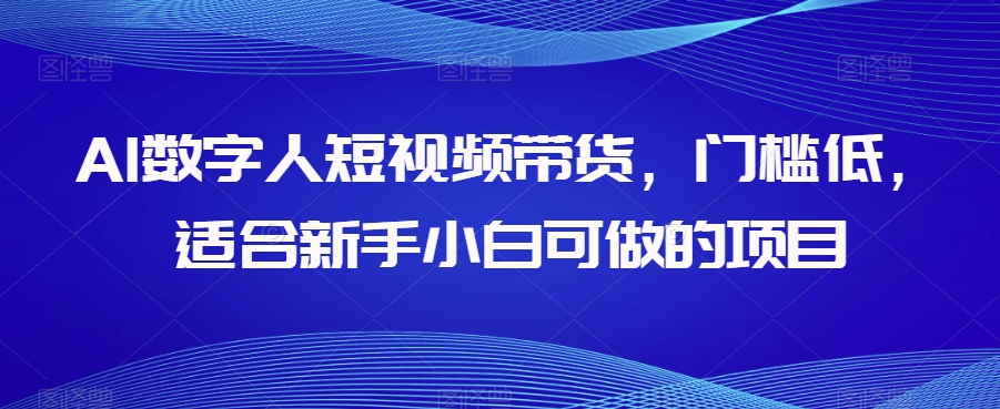 AI数字人短视频带货，门槛低，适合新手小白可做的项目-轻松搞定副业 - 高效赚钱方法和建议
