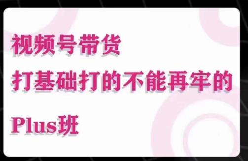大播汇·视频号带货Puls班，视频号底层逻辑，起号自然流鱼塘等玩法-轻松搞定副业 - 高效赚钱方法和建议