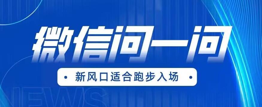 全网首发微信问一问新风口变现项目（价值1999元）【揭秘】-轻松搞定副业 - 高效赚钱方法和建议