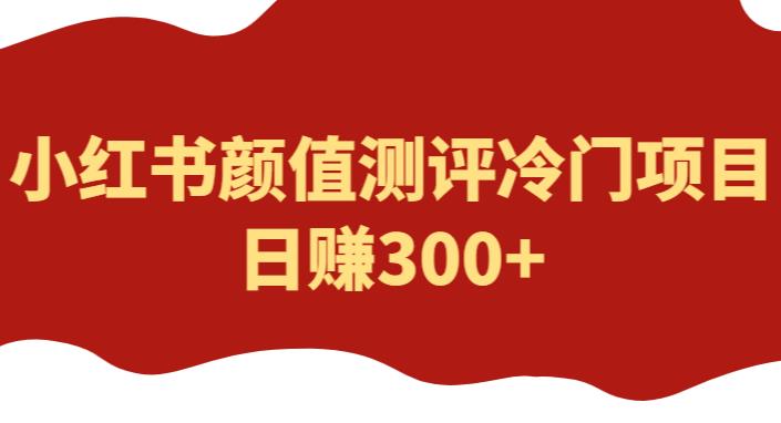 外面1980的项目，小红书颜值测评冷门项目，日赚300+【揭秘】-轻松搞定副业 - 高效赚钱方法和建议